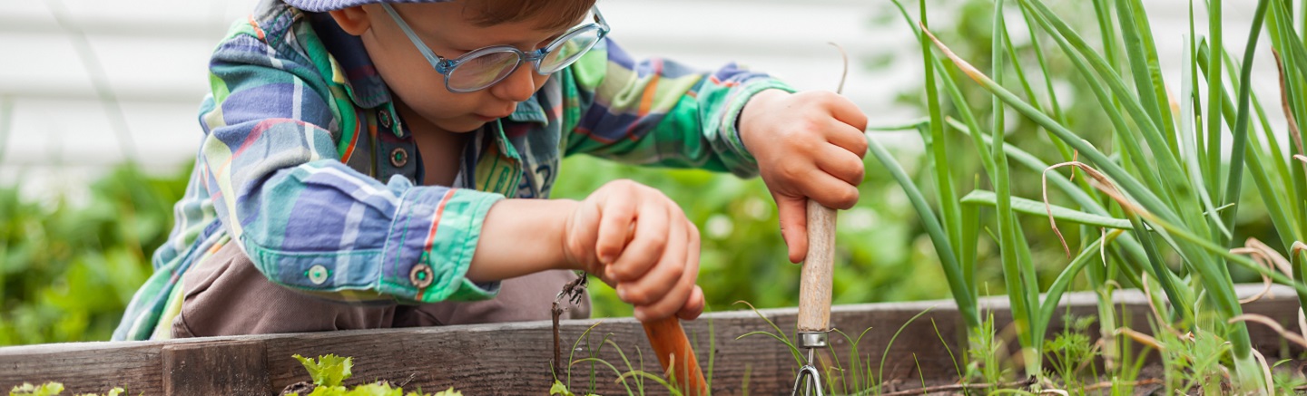 5 règles d'or pour faire germer vos graines - Blog jardinage