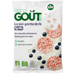 Gourde Brassé végétal Riz Pêche Framboise bio pour Bébé dès 6 mois - Good  Goût